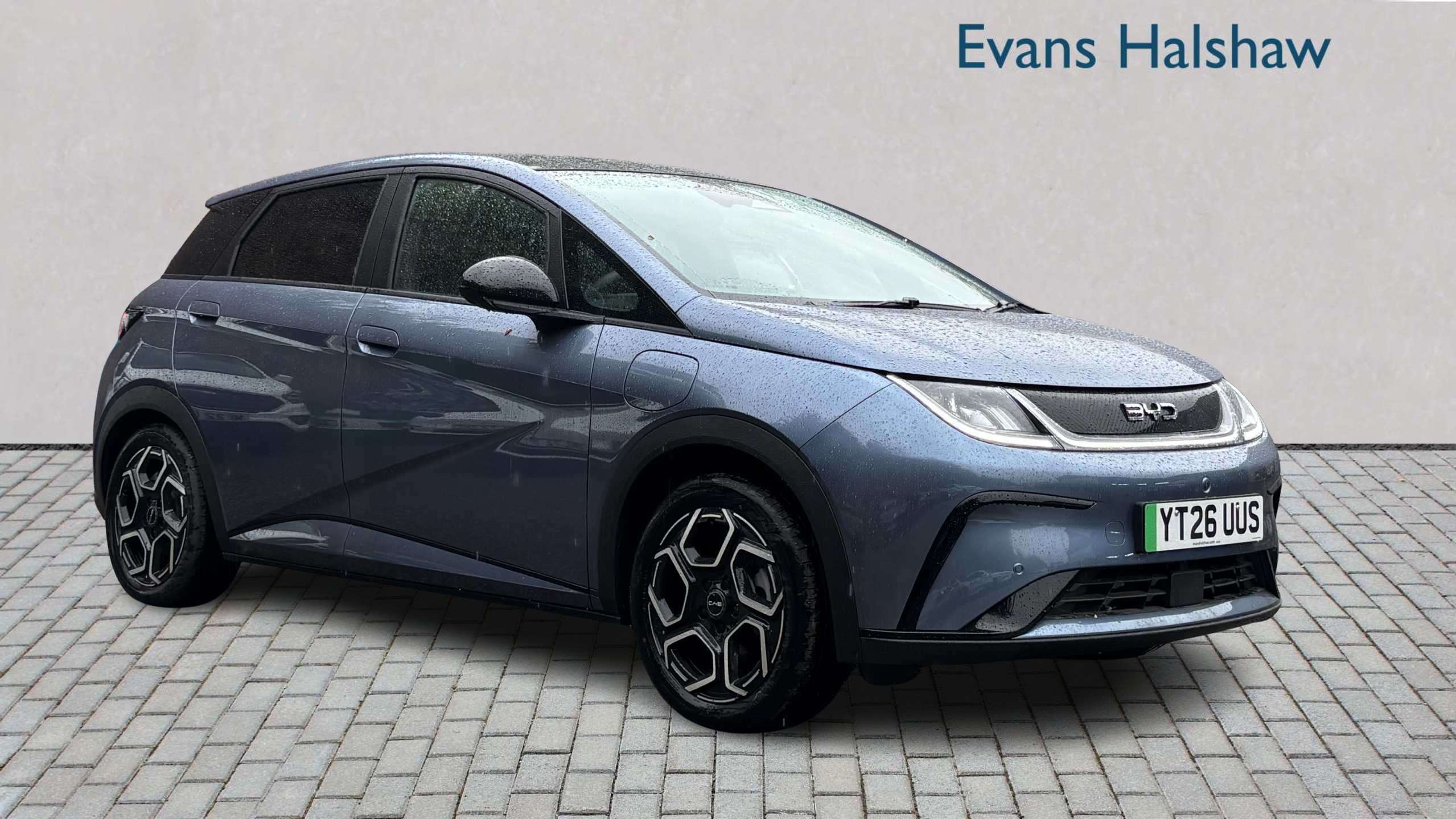 2026 Byd Dolphin
