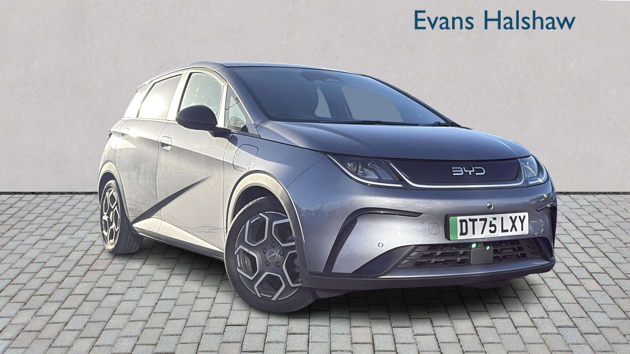 2026 Byd Dolphin