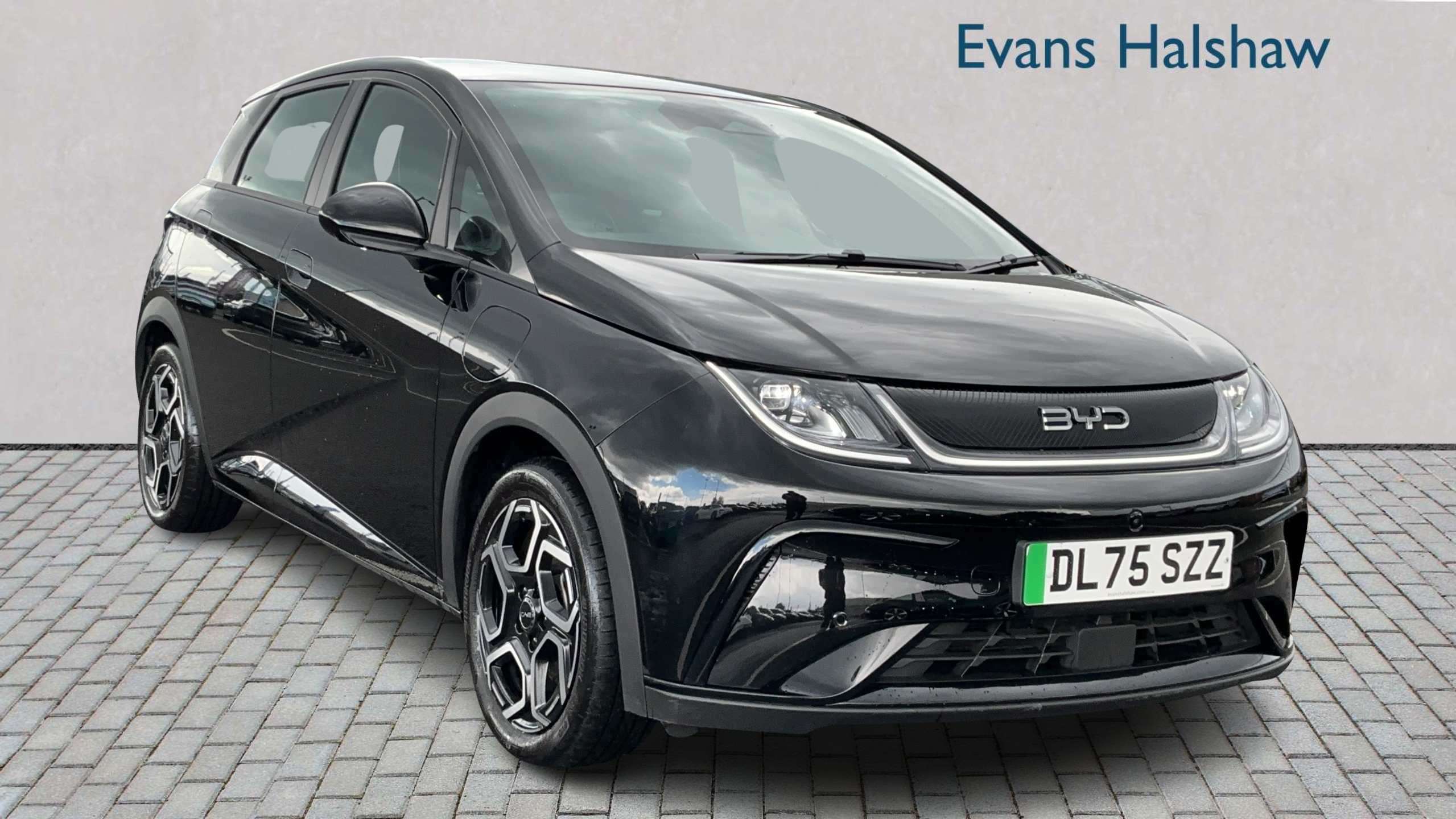 2026 Byd Dolphin