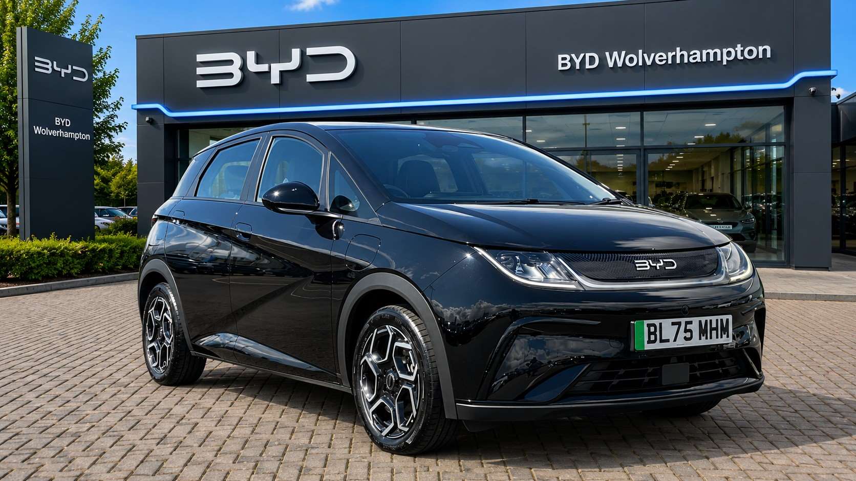 2025 Byd Dolphin