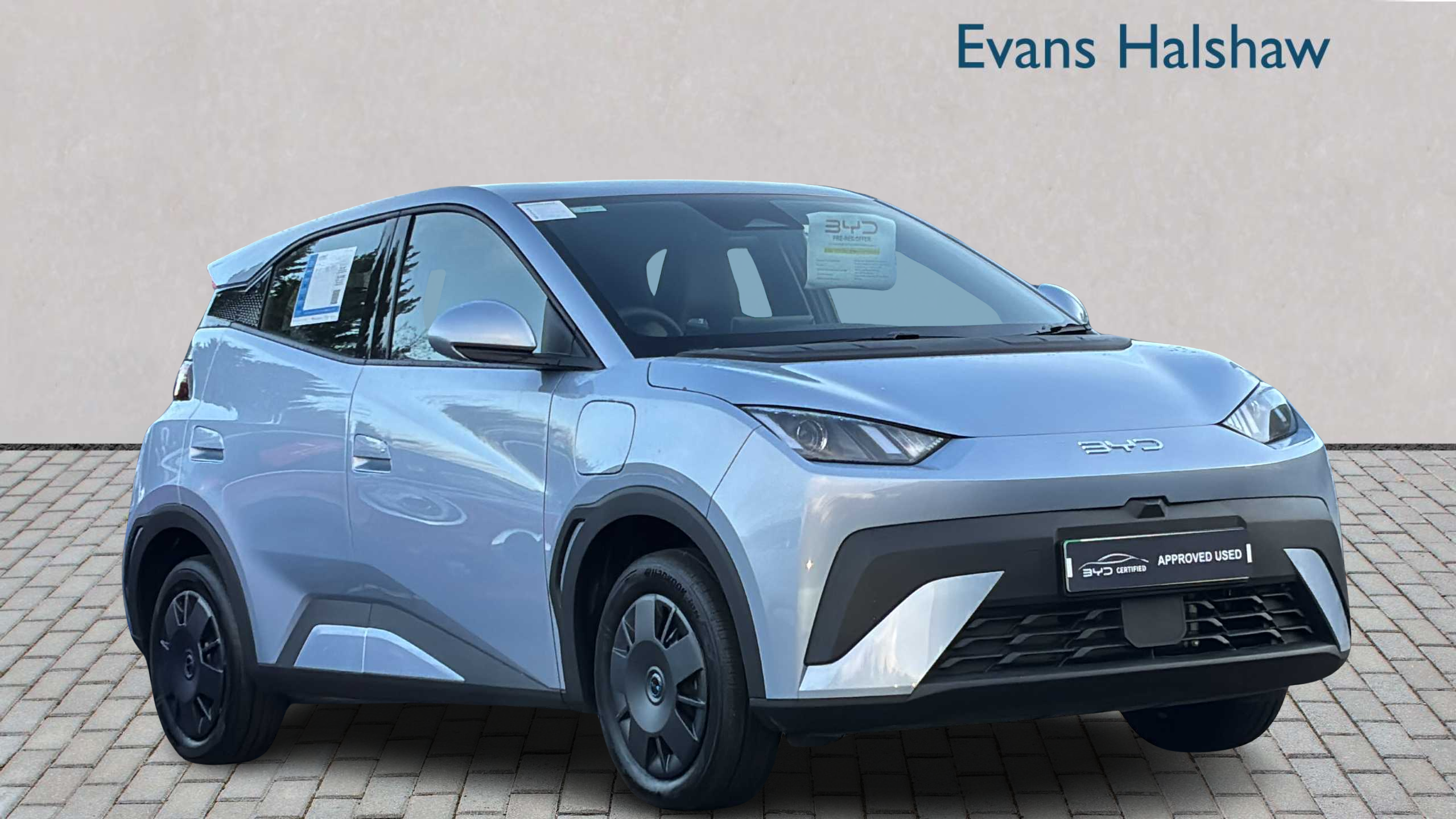 2025 Byd Dolphin Surf