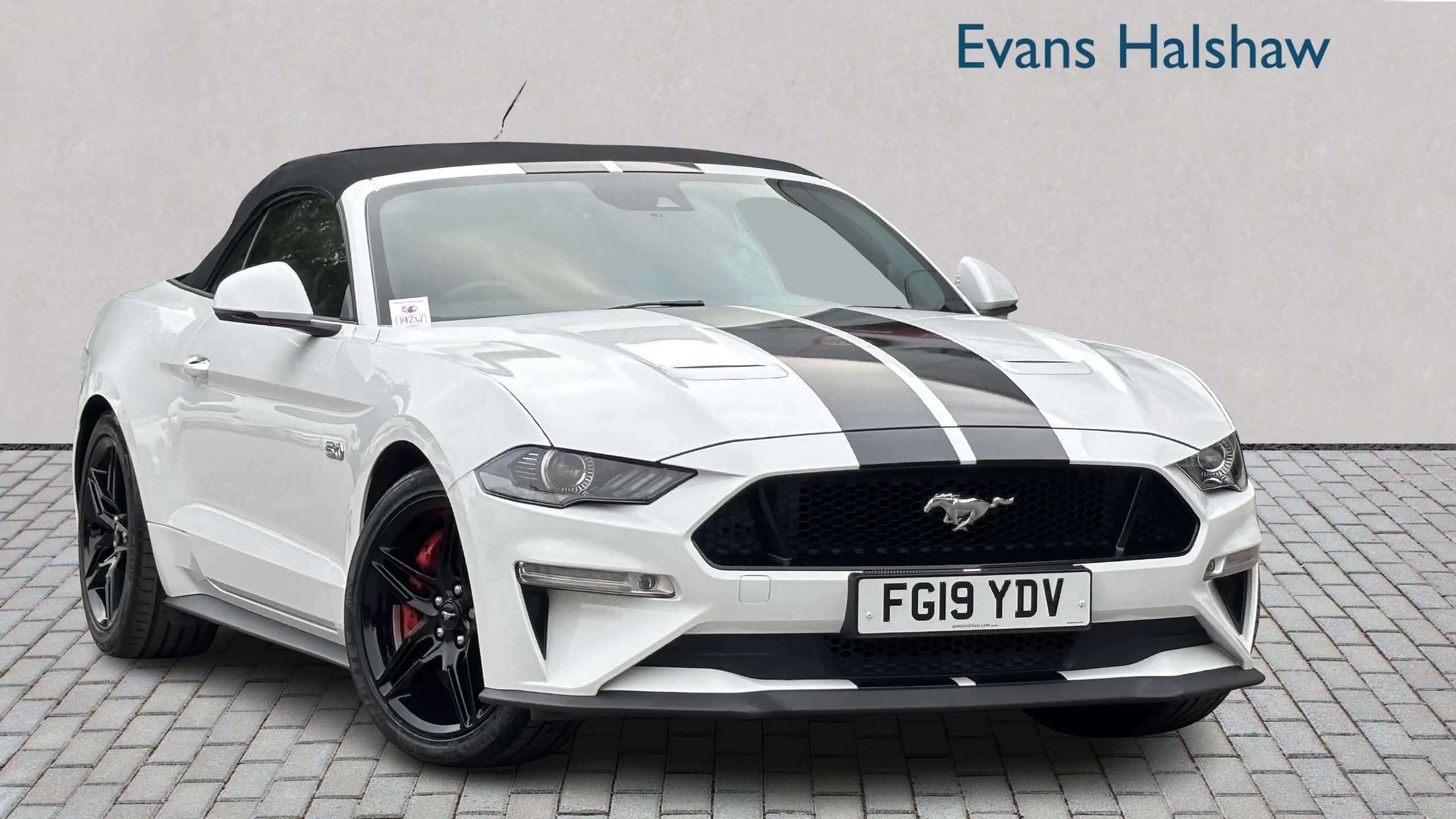 2019 Ford Mustang